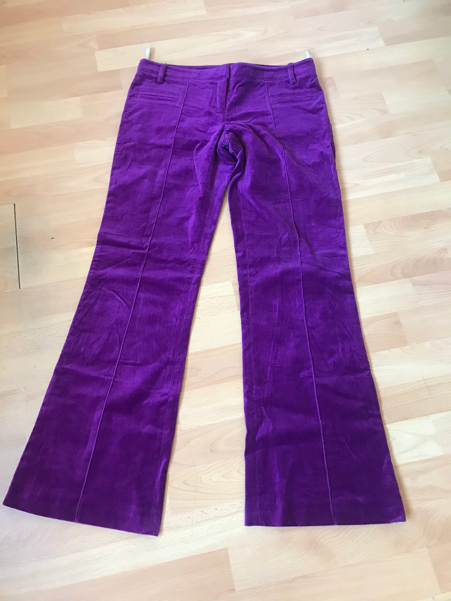 Purple velvet pants (L)