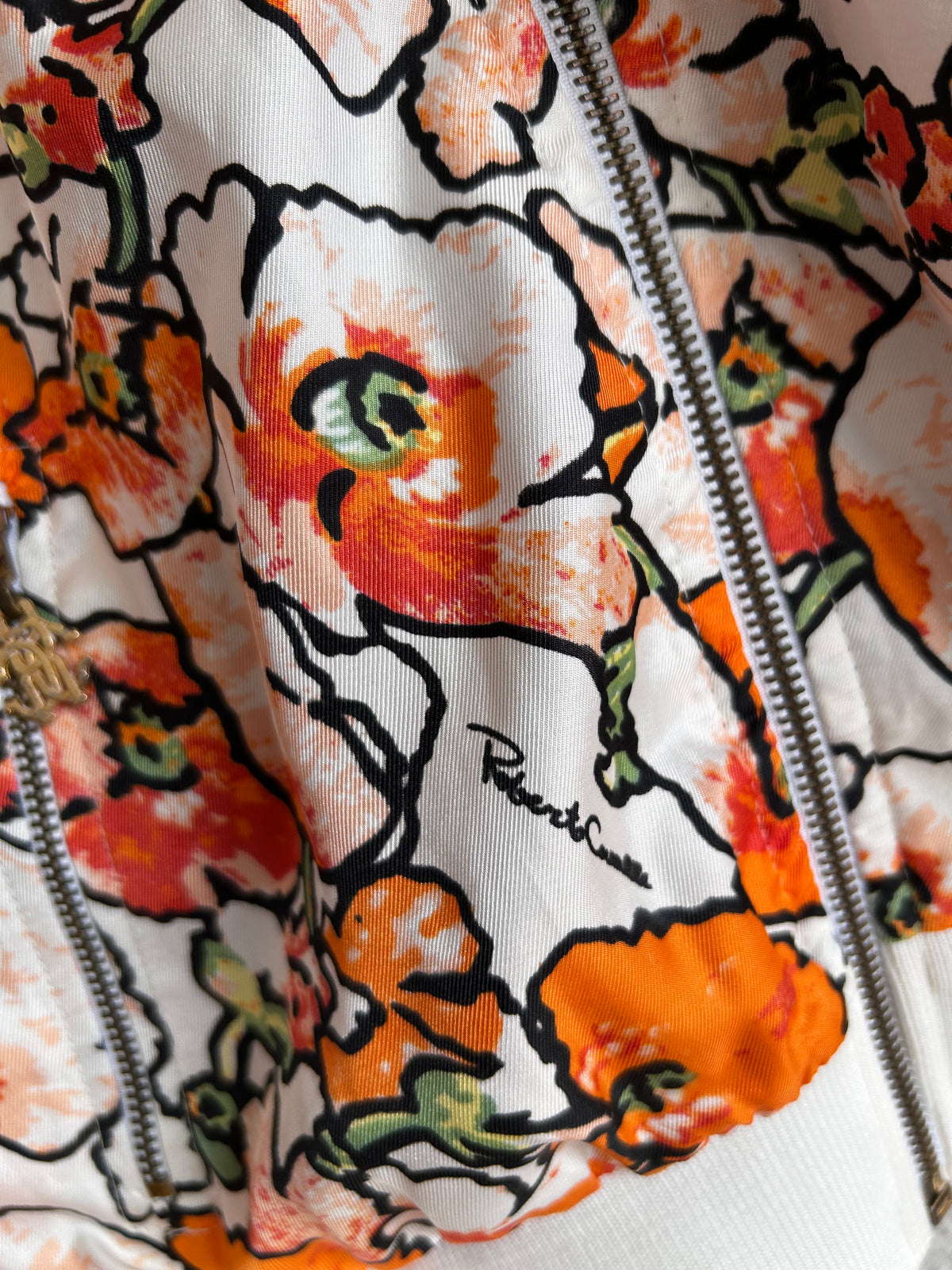 Roberto Cavalli zip-up Bomber