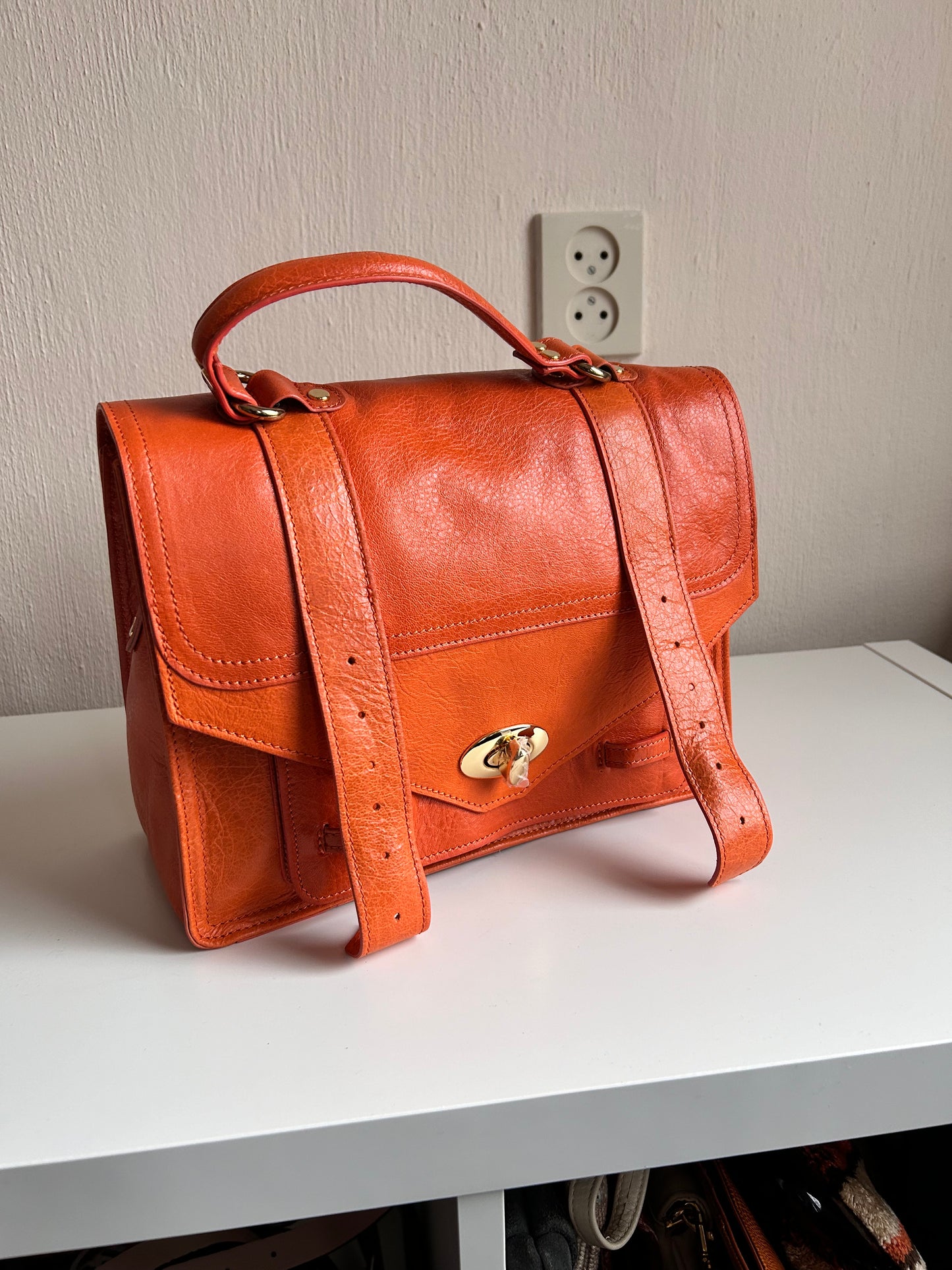 Italian leather organizer handbag