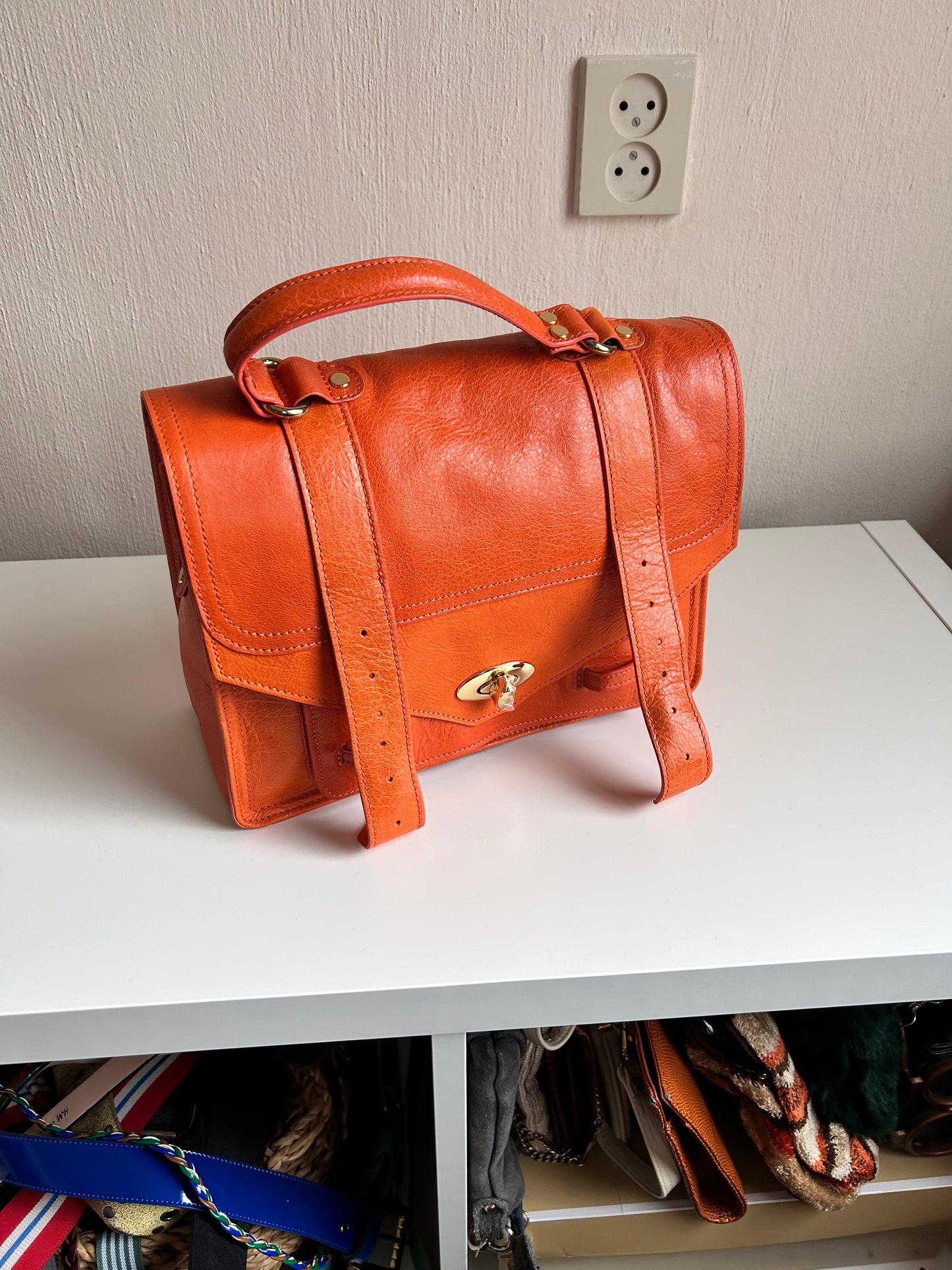 Italian leather organizer handbag