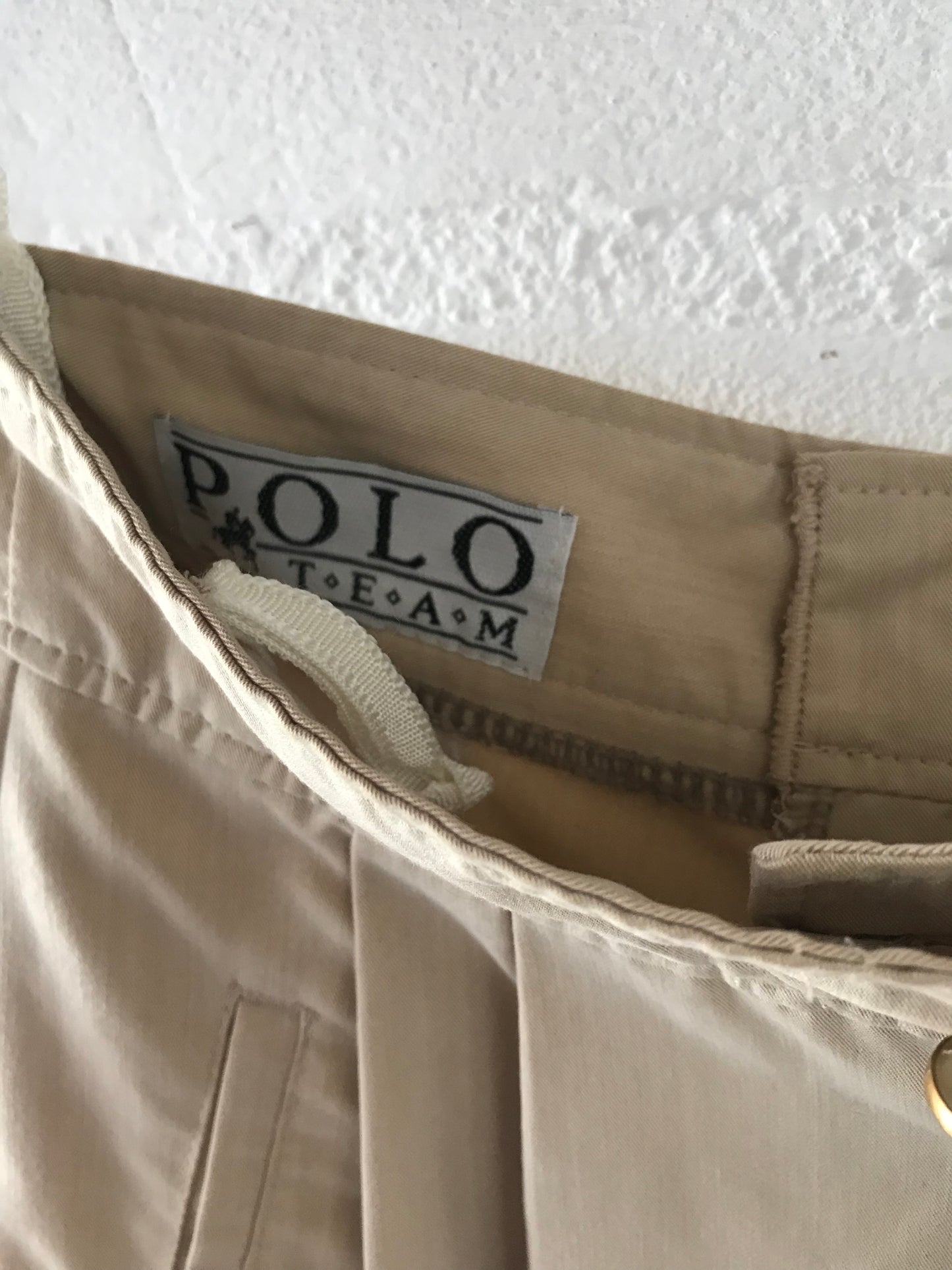 Polo sport pleated pants